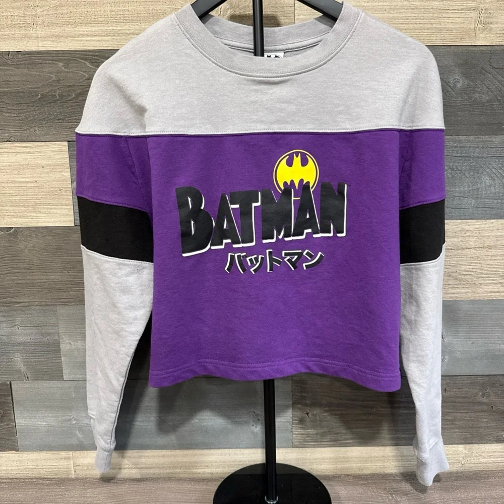 Batman SM Junior's Logo Kanji Color Block Purple Long Sleeve Cropped‎ Sweatshirt